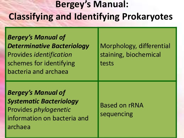 Bergey's Manual Of Determinative Bacteriology 9th Edition Pdf Free